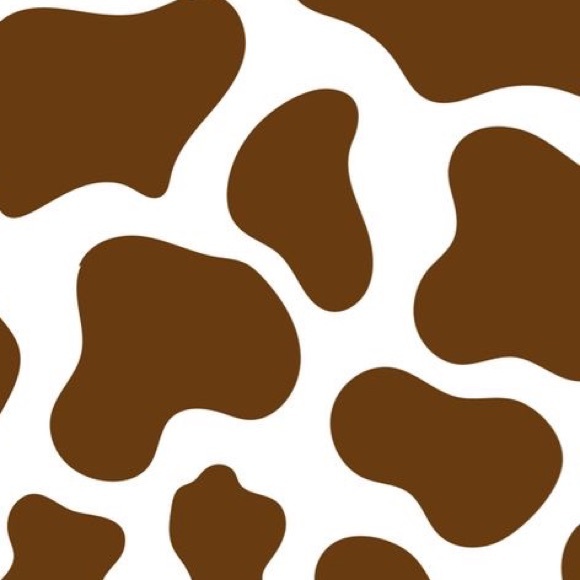 Meet your Posher, Lupe - Picture 1 of 1